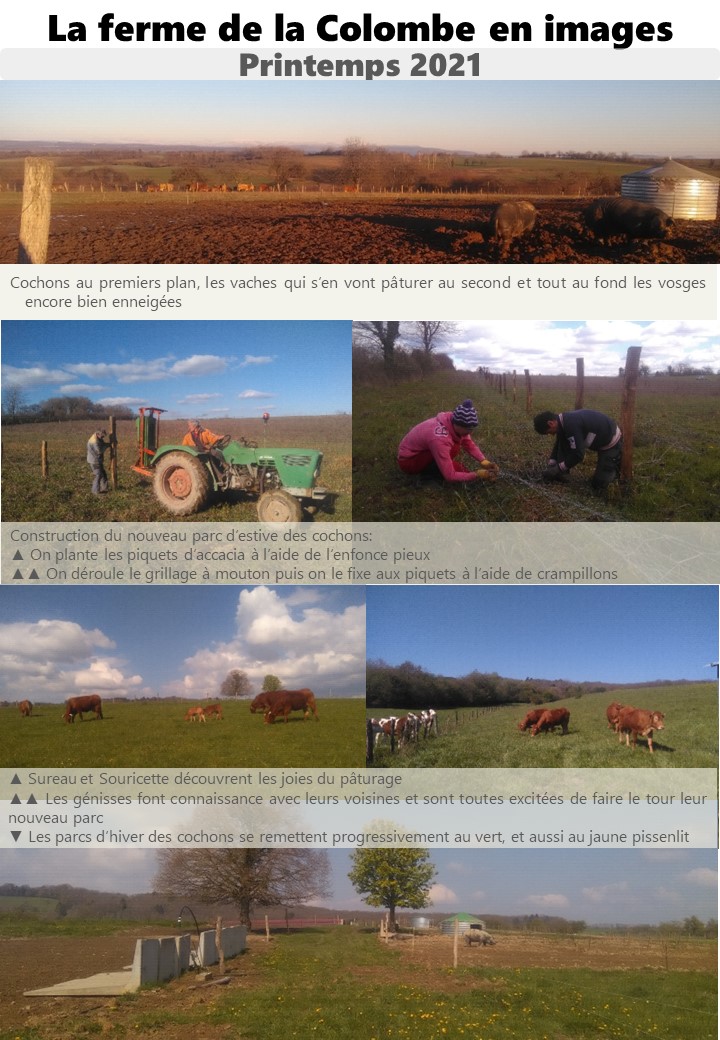 Nouvelles de la ferme – Printemps 2021