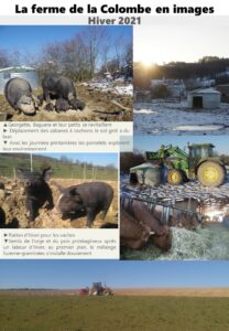 Lire la suite à propos de l’article Nouvelles de la ferme – Hiver début 2021