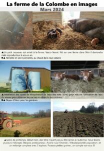 Lire la suite à propos de l’article Nouvelles de la ferme : printemps 2024