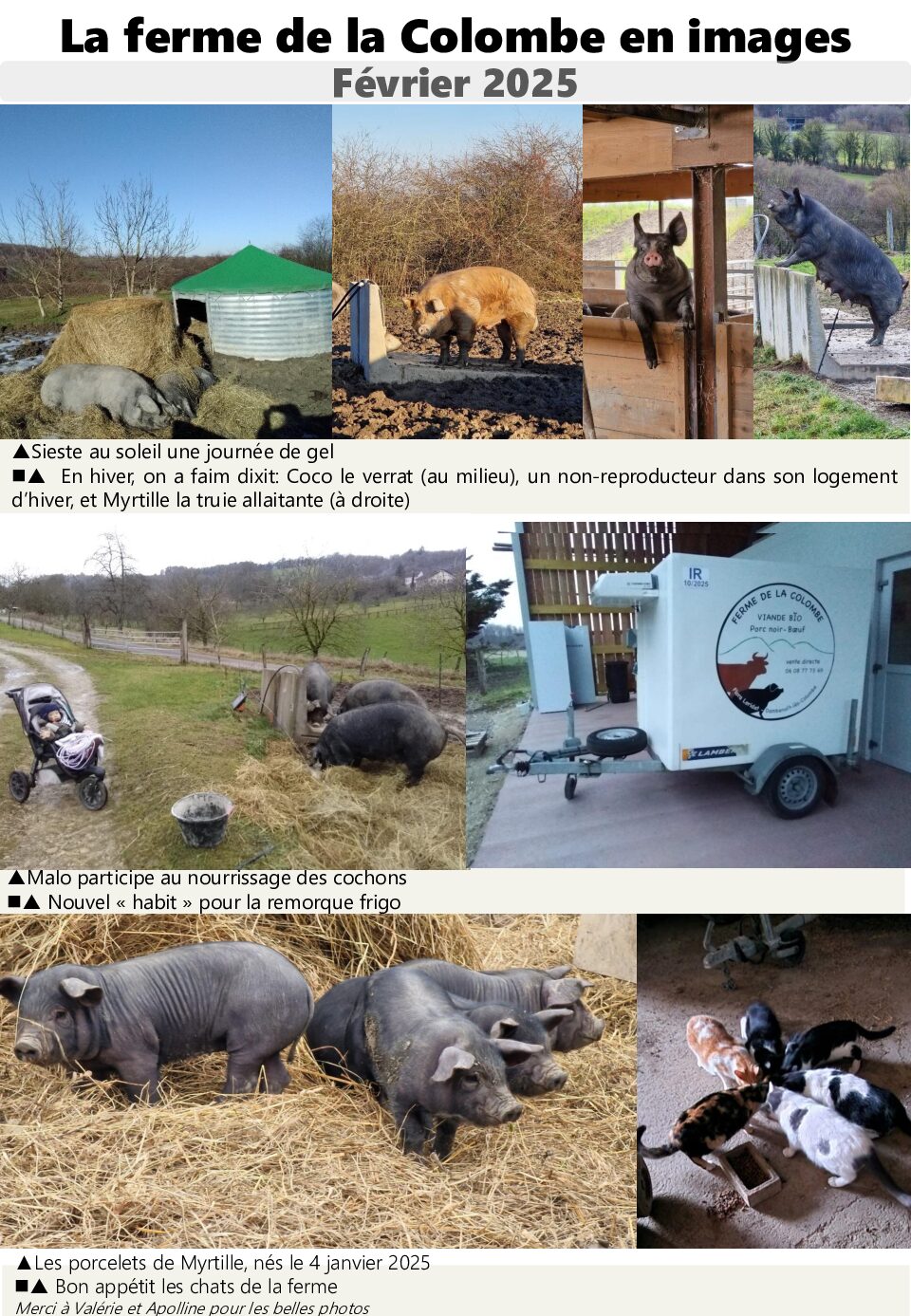 Les nouvelles de la ferme : janvier 2025